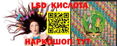 винт Донской