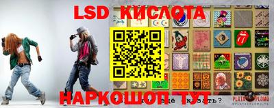 винт Донской