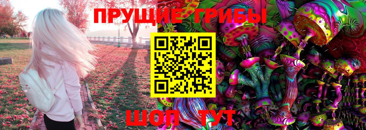 Кунгур  Псилоцибиновые грибы Psilocybe  Вход с VPN 